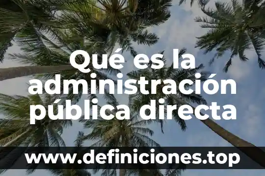 Qué es la administración pública directa
