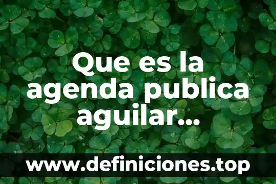 Que es una agenda web 7 Que es la agenda publica aguilar villanueva