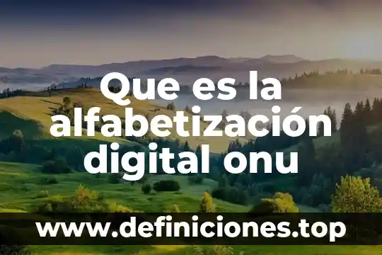 Día internacional de la alfabetización que es 5 Que es la alfabetización digital onu