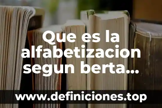 Día internacional de la alfabetización que es 6 Que es la alfabetizacion segun berta braslavsky resumen