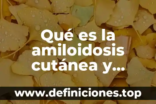 Que es mercado libre en administracion 5 Qué es la amiloidosis cutánea y efectos secundarios