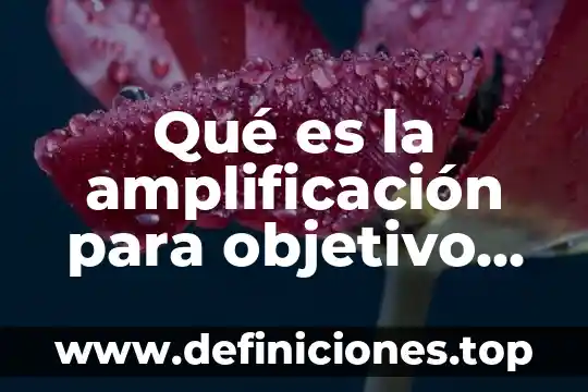 Que es el ime y datos de contacto 4 Qué es la amplificación para objetivo en microscopio