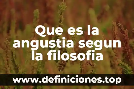Que es la angustia segun la filosofia