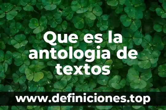 Que es la antologia de textos