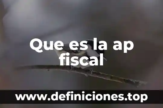 Qué es elusión fiscal y evasión 6 Que es la ap fiscal