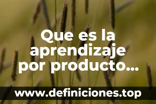 Que es la aprendizaje por producto terminado
