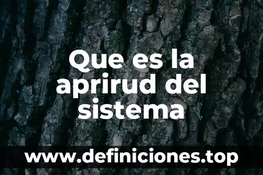 Que es la aprirud del sistema
