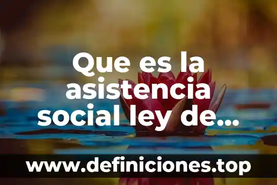 Que es protagonista social 3 Que es la asistencia social ley de salud