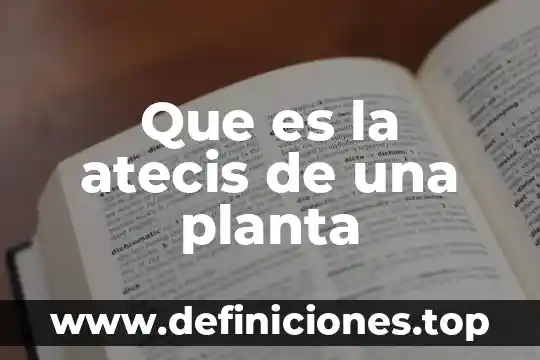 Que es la atecis de una planta