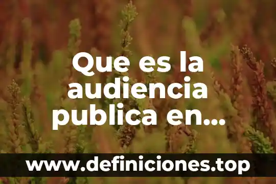 Qué es una bitácora electrónica de obra pública 5 Que es la audiencia publica en cuotas compensatorias