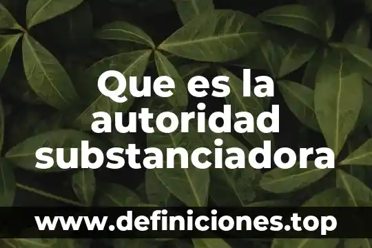 Acto de autoridad que es 3 Que es la autoridad substanciadora