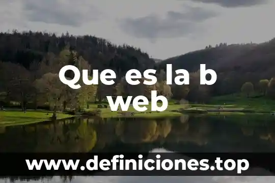 Que es la b web