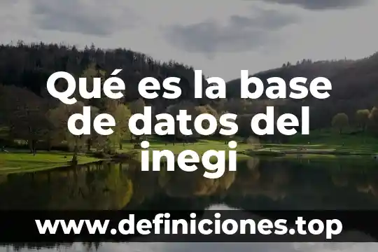 Que es mejor upa o uaa 6 Qué es la base de datos del inegi