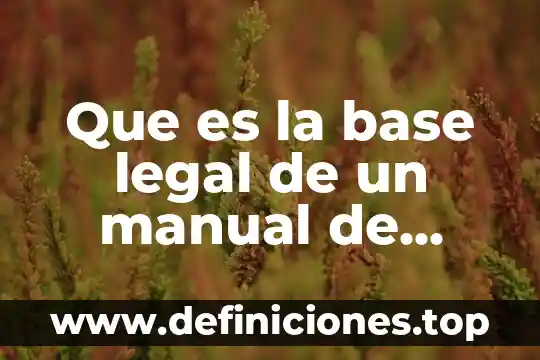 Que es la base legal de un manual de procedimientos