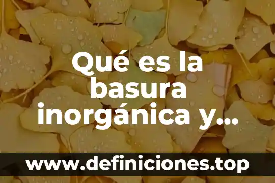 ¿Qué es la química orgánica química inorgánica? 8 Qué es la basura inorgánica y tipos