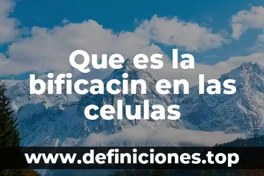 Que es linaje de celulas inmortales 7 Que es la bificacin en las celulas