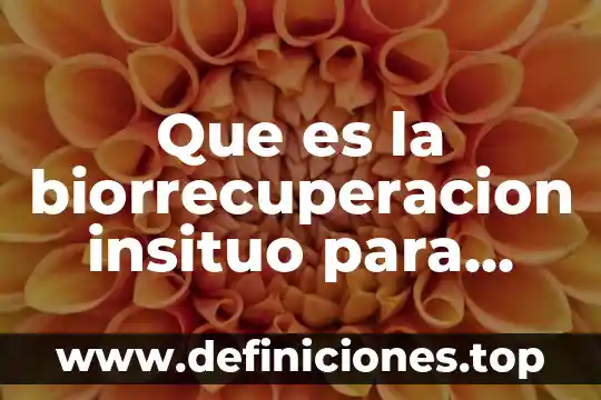 Que es scale mode en pantalla 4 Que es la biorrecuperacion insituo para residuos solidos peligrosos