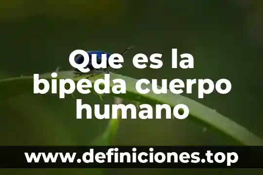 Que es el codigo genetico del ser humano 3 Que es la bipeda cuerpo humano