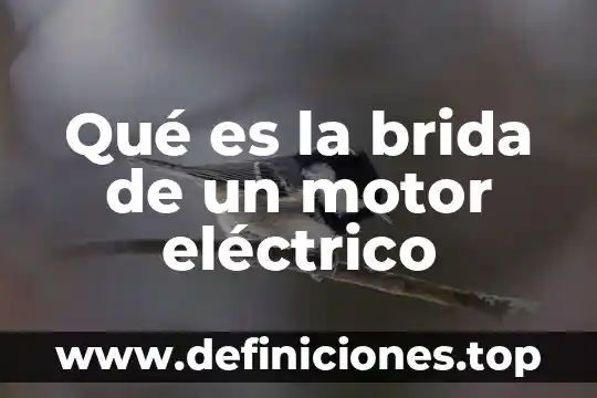 Qué es un punto gatillo motor 4 Qué es la brida de un motor eléctrico