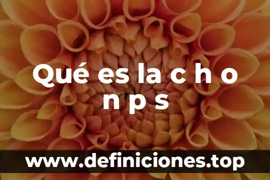 Qué es el include en c 3 Qué es la c h o n p s