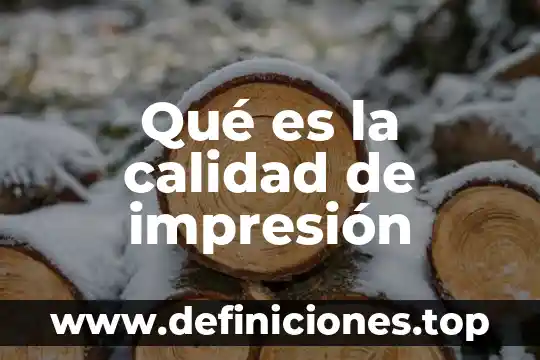 Que es un servidor de impresión y su funcionamiento 5 Qué es la calidad de impresión
