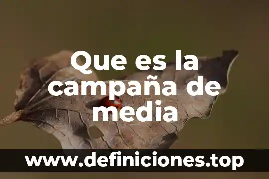 Que es un plan de campaña 6 Que es la campaña de media