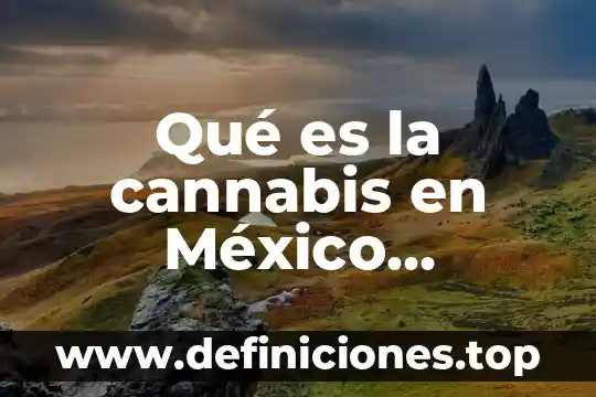 Para que es importante la bandera de México 4 Qué es la cannabis en México jurídicamente