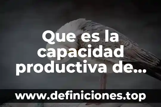 Que es la capacidad productiva de una empresa