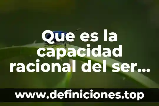 Que es la capacidad racional del ser humano