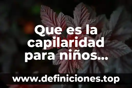 Que es lo que mas disgusta en un curso 3 Que es la capilaridad para niños ejemplos