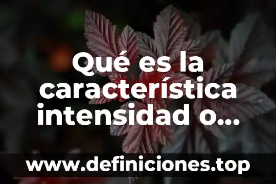 Qué es mejor o en mi intensidad de señal 7 Qué es la característica intensidad o volumen