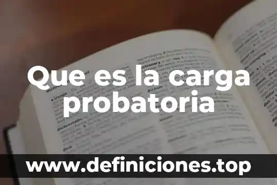 Que es una carga controladas 5 Que es la carga probatoria