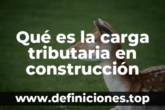 Que es ley del servicio de administración tributaria 4 Qué es la carga tributaria en construcción