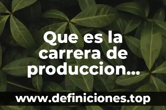 Xinerlink que es 4 Que es la carrera de produccion musical