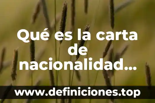 Que es mercado libre en administracion 6 Qué es la carta de nacionalidad mexicana