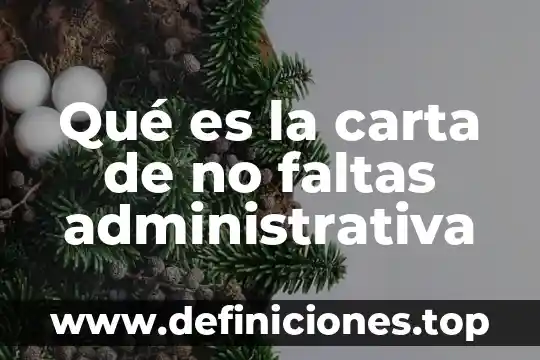 Que es mejor merional o merapur 6 Qué es la carta de no faltas administrativa
