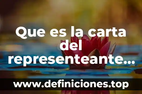 Que es la carta del representeante legal