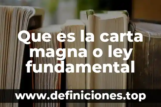 Que es una unidad de medicion fundamental 4 Que es la carta magna o ley fundamental