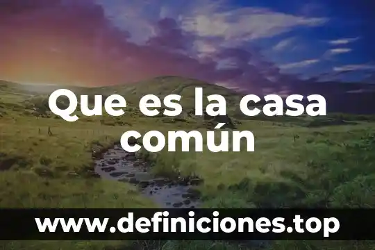 Que es el significado de baso 7 Que es la casa común