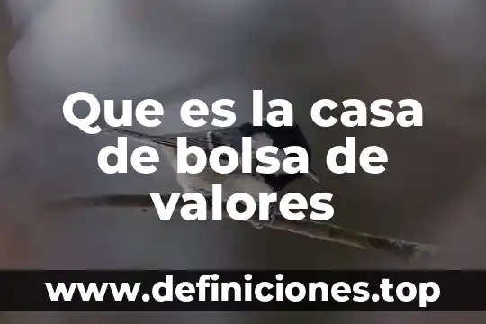 Que es la casa de bolsa de valores