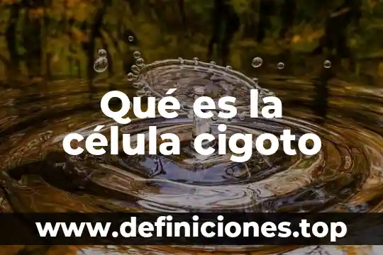 Que es mas complejo una celula o una bacteria 8 Qué es la célula cigoto