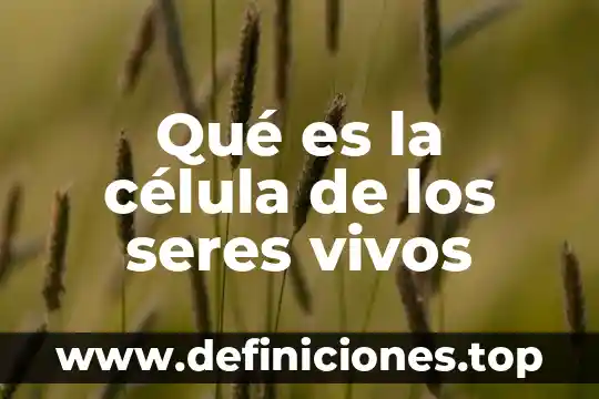 Qué es la célula de los seres vivos
