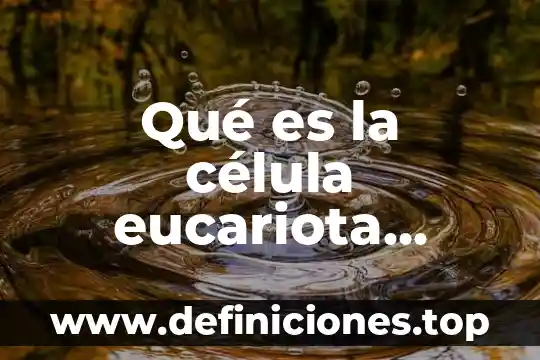 Qué es la célula eucariota, célula vegetal y animal