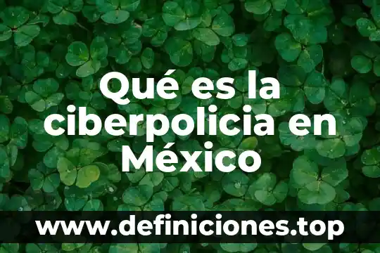 Qué es la ciberpolicia en México