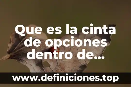 Que es una cinta de autoridad 5 Que es la cinta de opciones dentro de excel