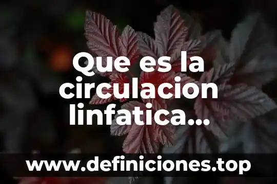 Que es el colera resumen 5 Que es la circulacion linfatica resumen