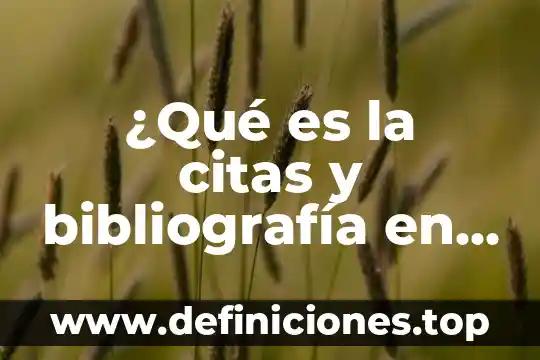 Bibliografía de que es un dato 4 ¿Qué es la citas y bibliografía en Word?