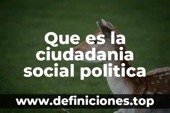 Que es la ciudadania social politica