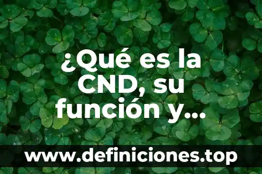 ¿Qué es la CND, su función y cuándo se integró?
