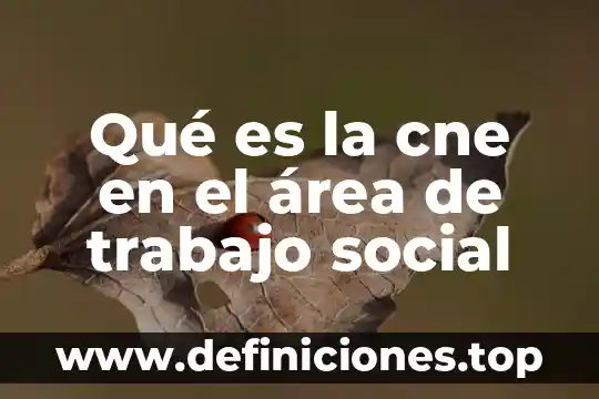 Qué es la cne en el área de trabajo social
